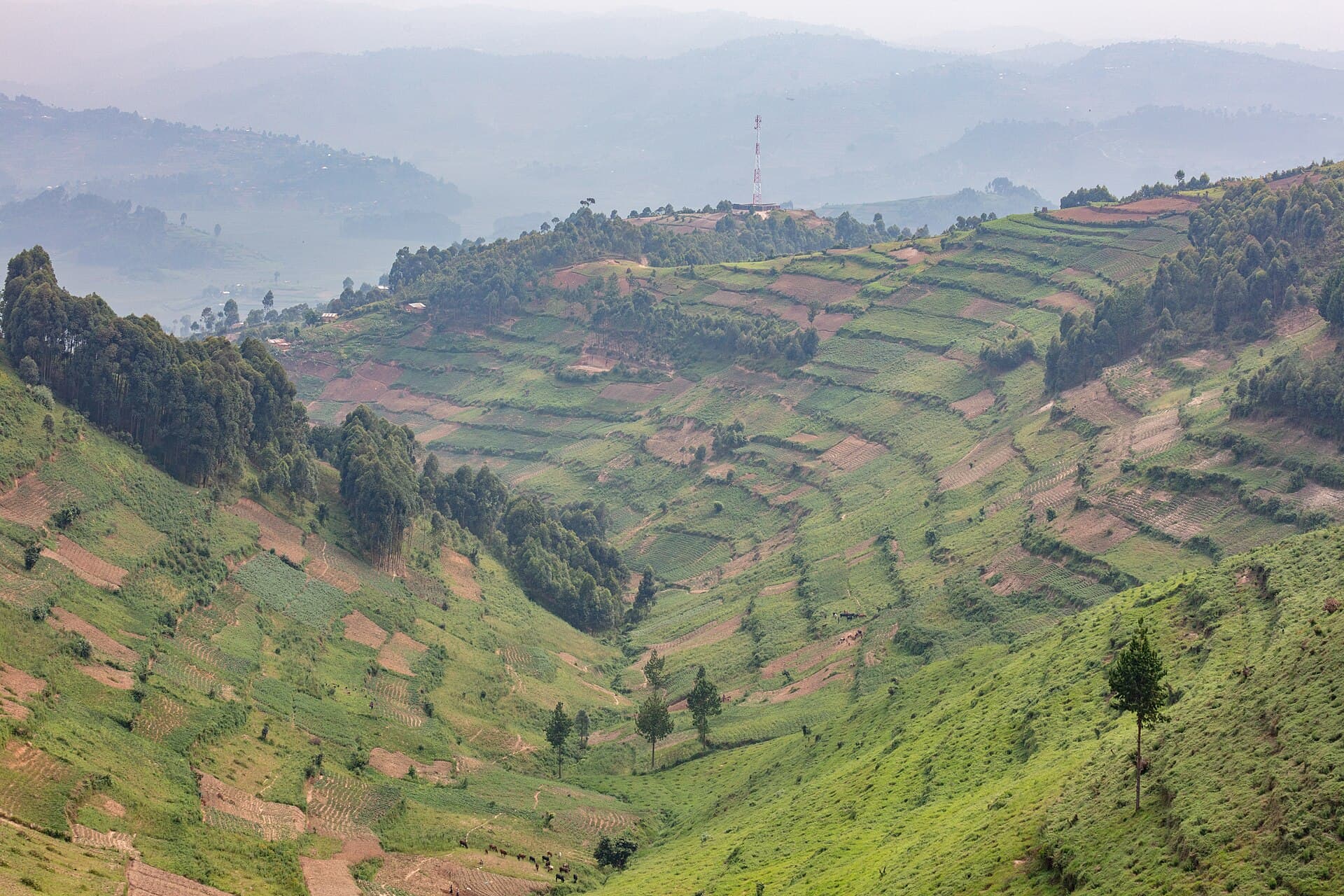 Uganda