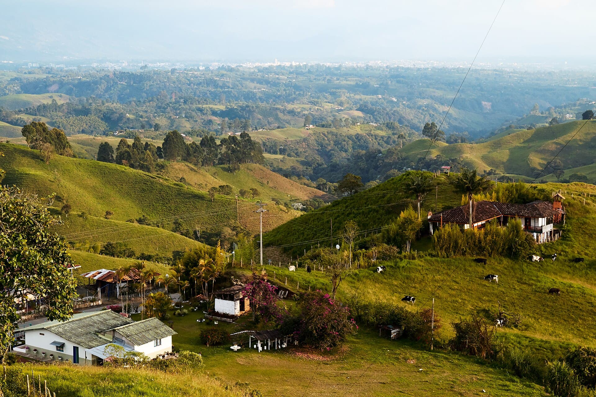 Colombia