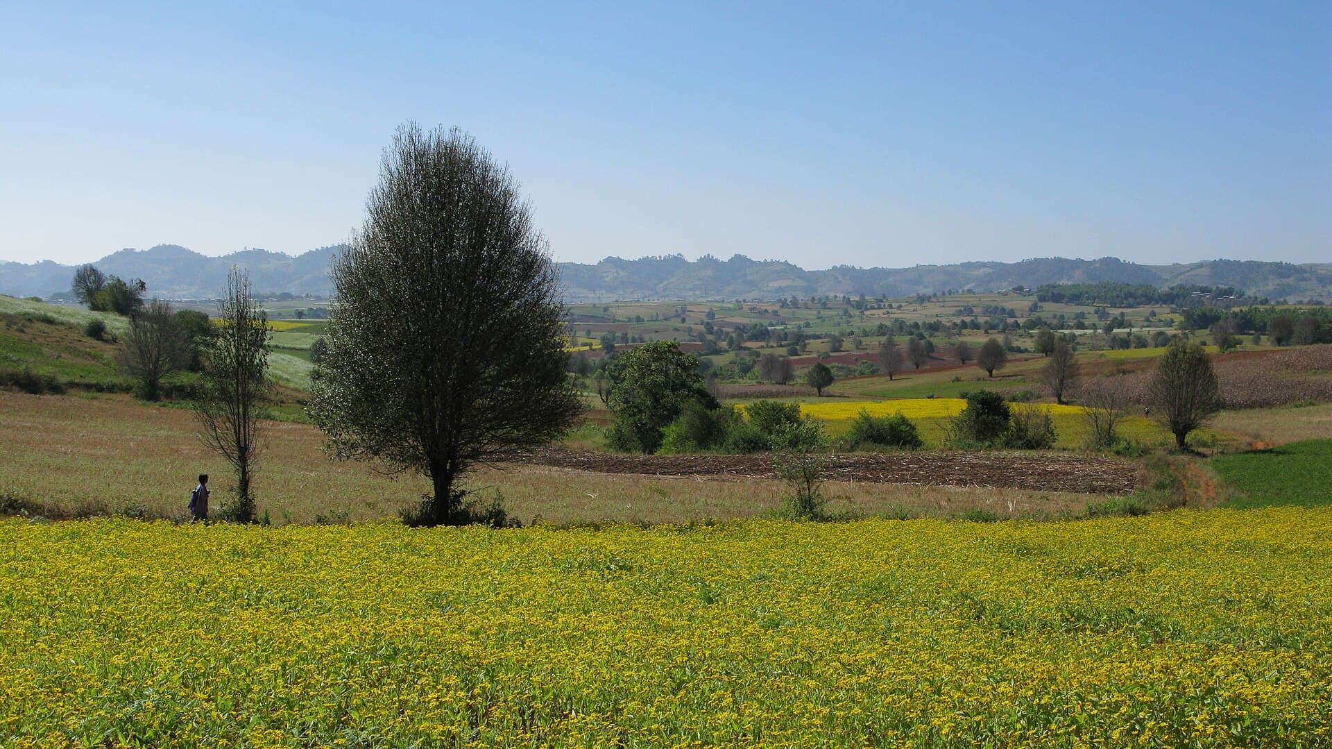 Myanmar